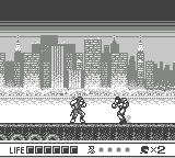 Ninja Gaiden Shadow